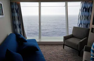 Каюта с панорамным окном (P2) на Freedom Of The Seas