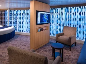 Большая каюта с панорамным окном (P1) на Liberty Of The Seas