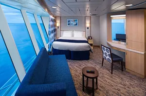 Каюта с панорамным окном (P1) на Freedom Of The Seas